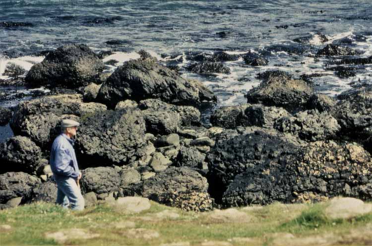 giant's causeway